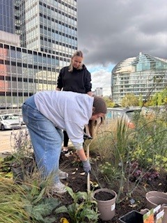 UK community engagement