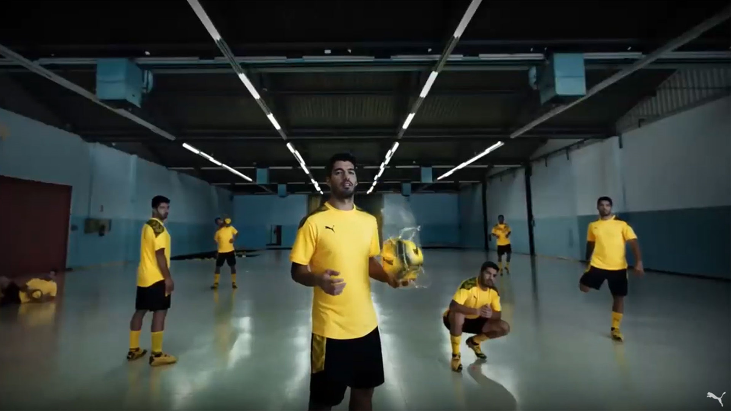 Puma