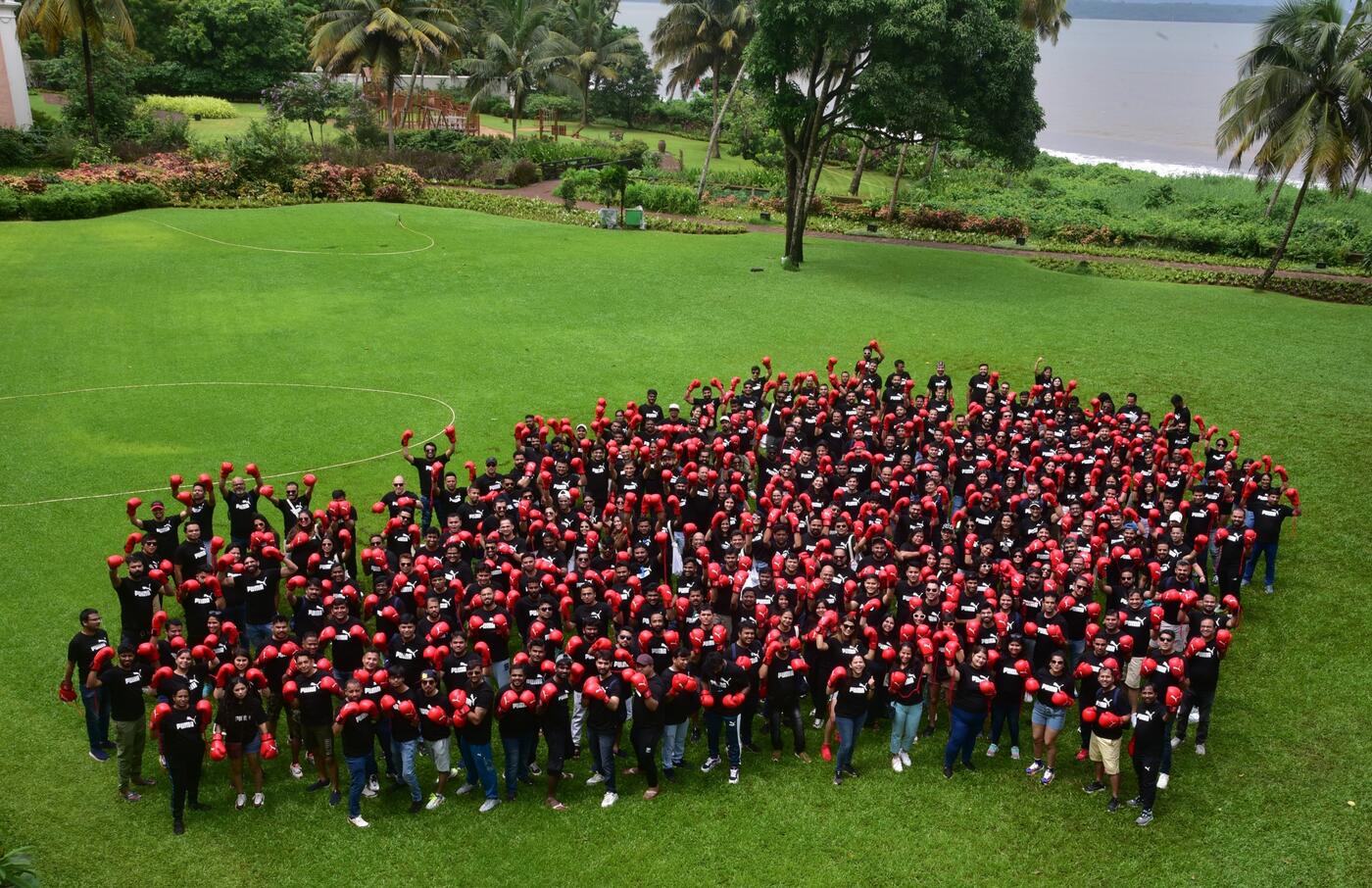 meet the team