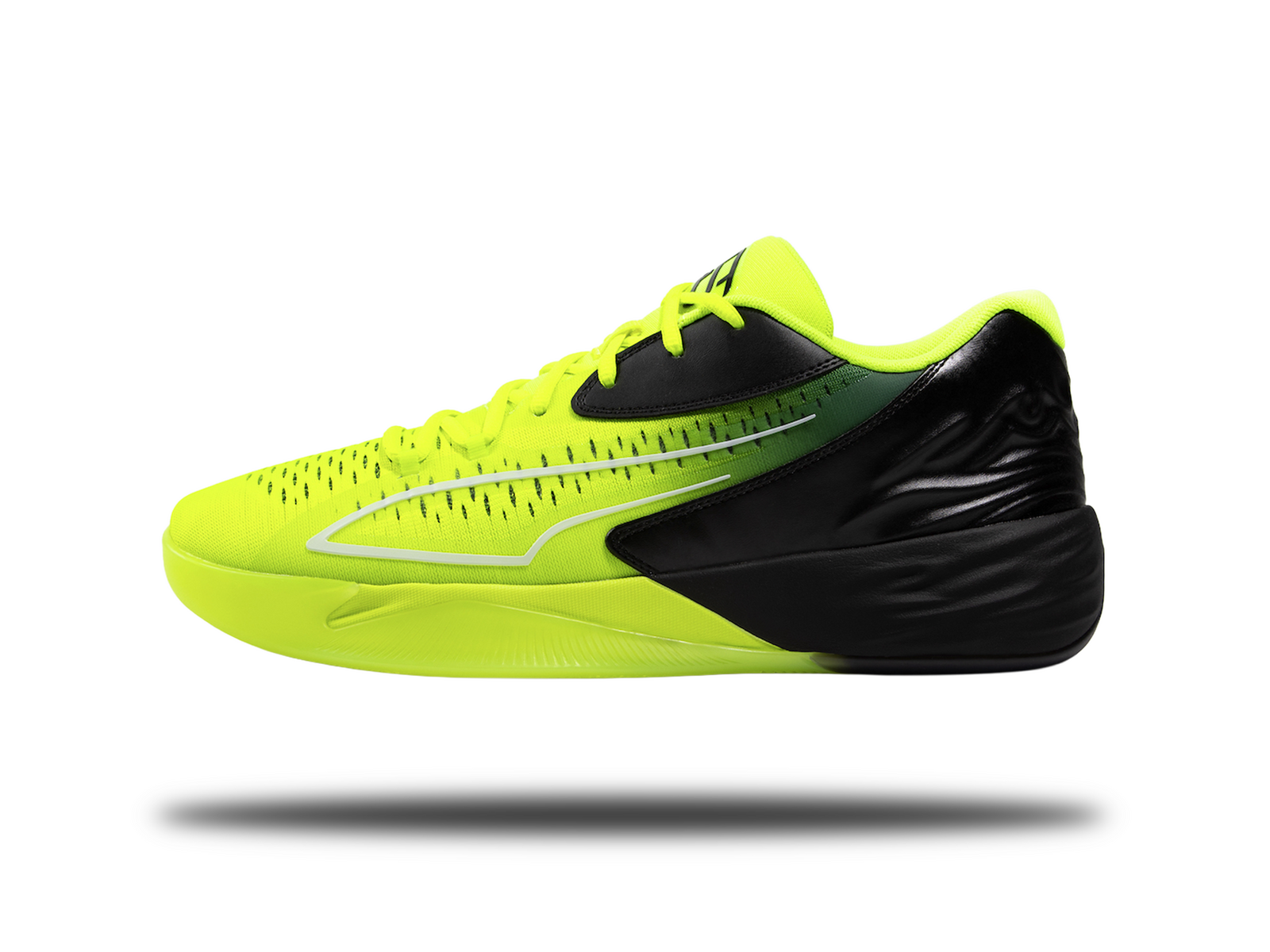 Picture of PUMA Basketball Shoe