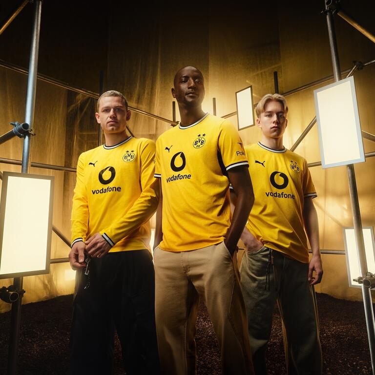 Picture of BVB Campaign