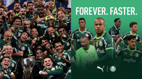 Palmeiras.png